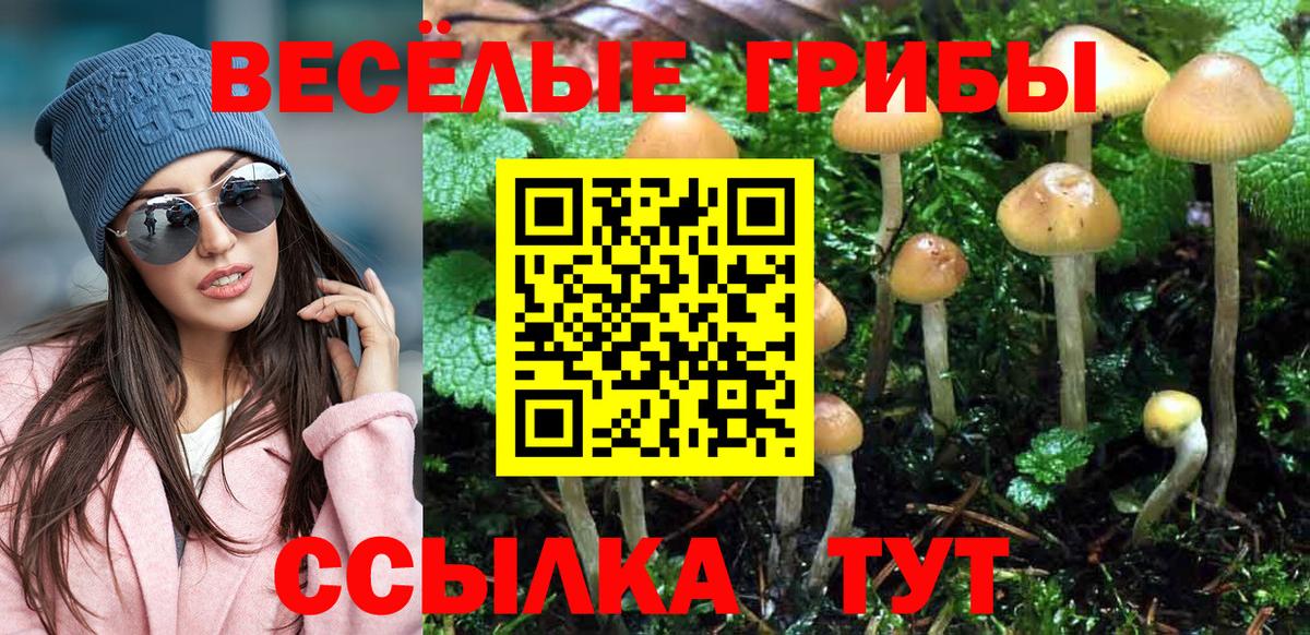 Галлюциногенные грибы MAGIC MUSHROOMS  где можно купить   Осинники  Вход с VPN 