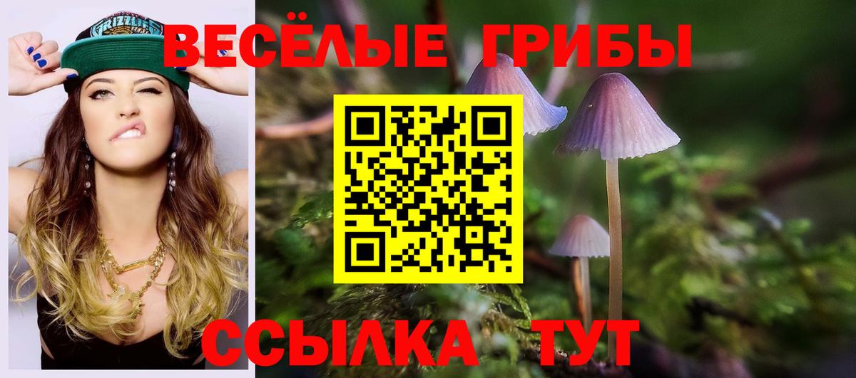 Псилоцибиновые грибы мицелий Осинники